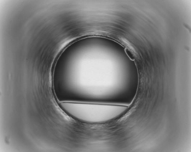 X0000094450940200711081044