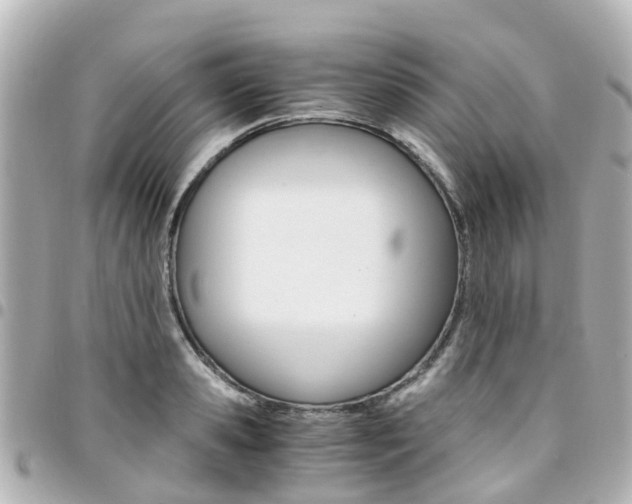 X0000094450941200711081044