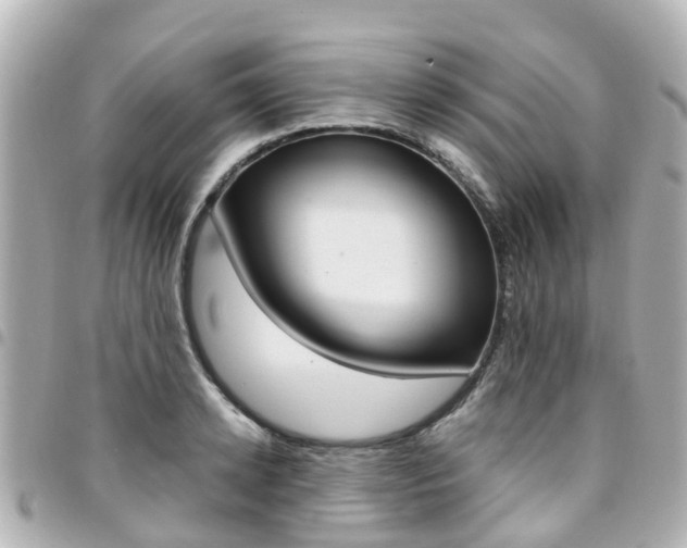 X0000094450942200711081044