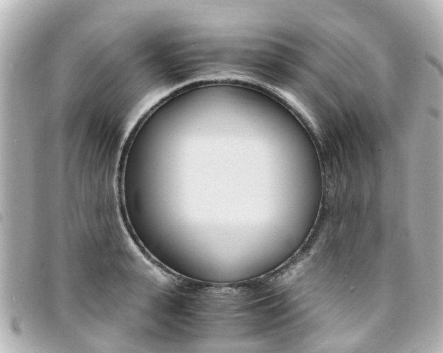 X0000094450943200711081044
