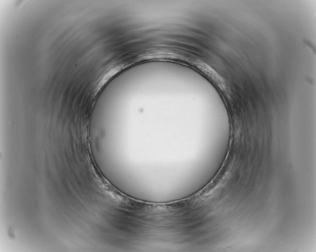 X0000094450945200711081044