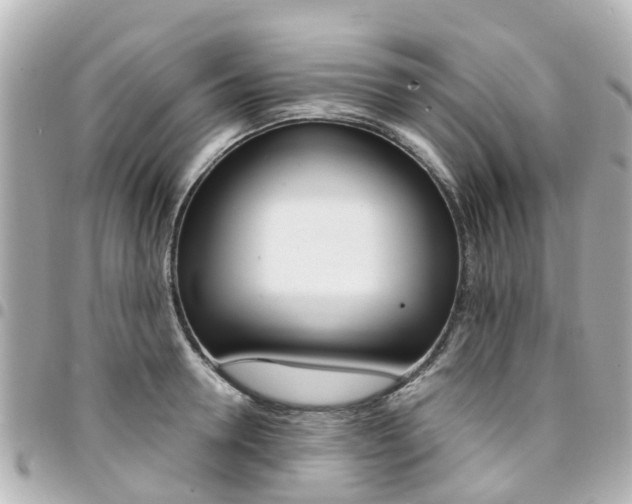 X0000094450946200711081044