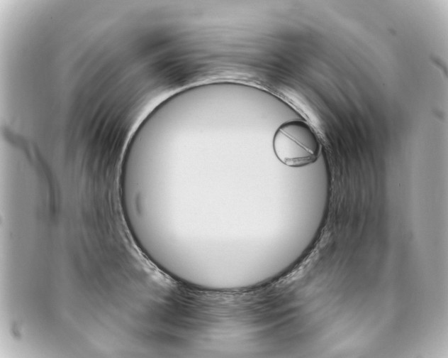 X0000094450948200711081044