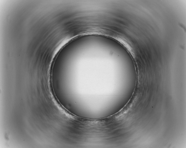 X0000094450949200711081044