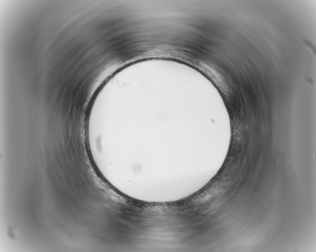 X0000094450950200711081044