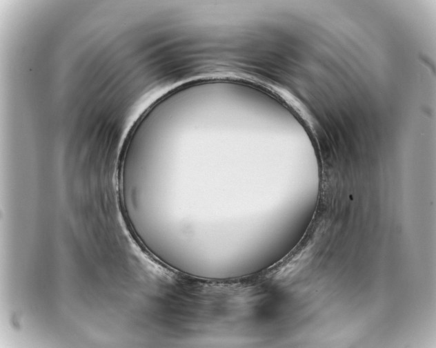 X0000094450951200711081044