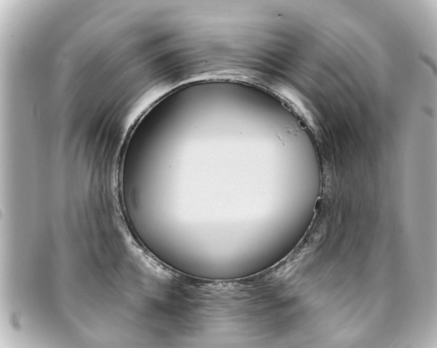 X0000094450952200711081044