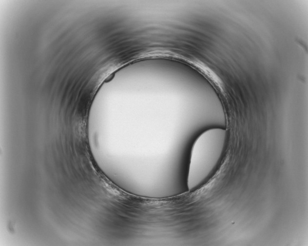 X0000094450953200711081044