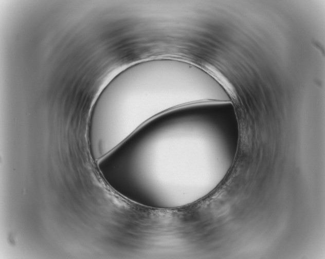 X0000094450956200711081044