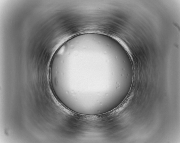 X0000094450957200711081044