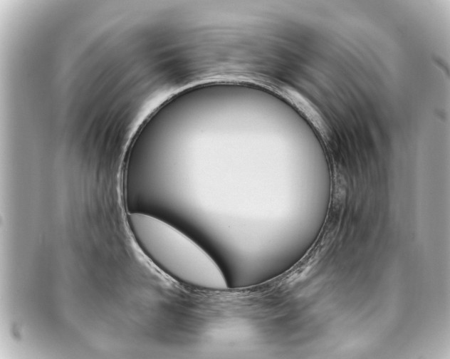 X0000094450958200711081044