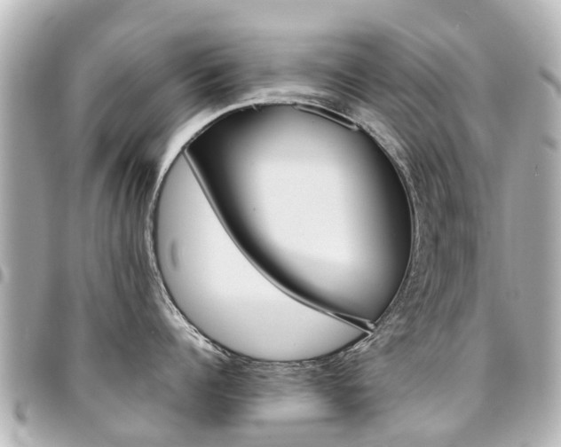 X0000094450960200711081044