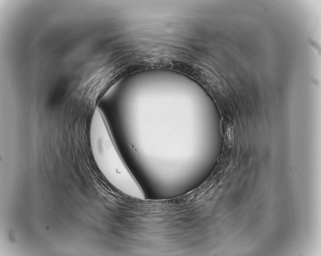 X0000094450963200711081044