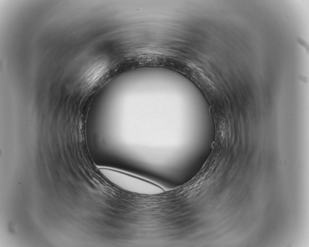 X0000094450964200711081044
