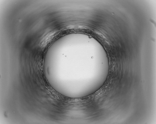 X0000094450966200711081044