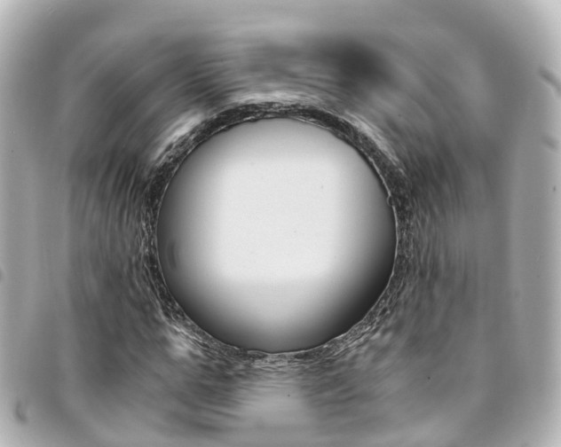 X0000094450967200711081044