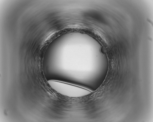 X0000094450968200711081044