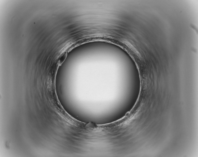 X0000094450969200711081044