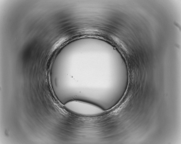 X0000094450970200711081044