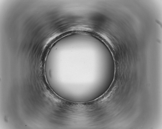 X0000094450971200711081044