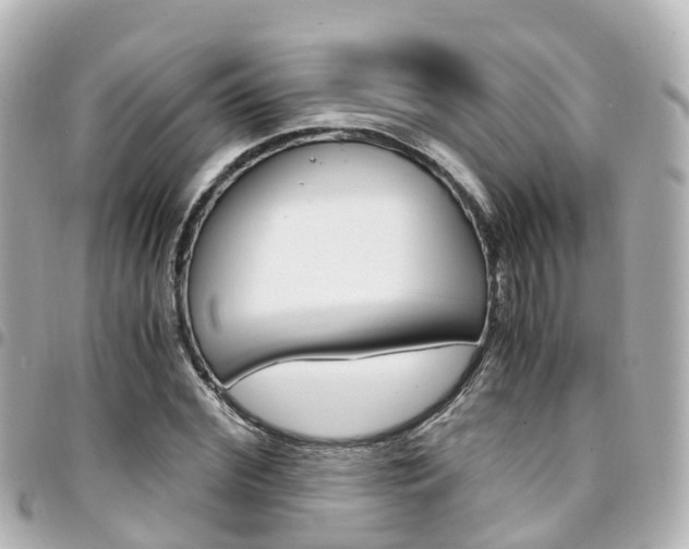 X0000094450972200711081044