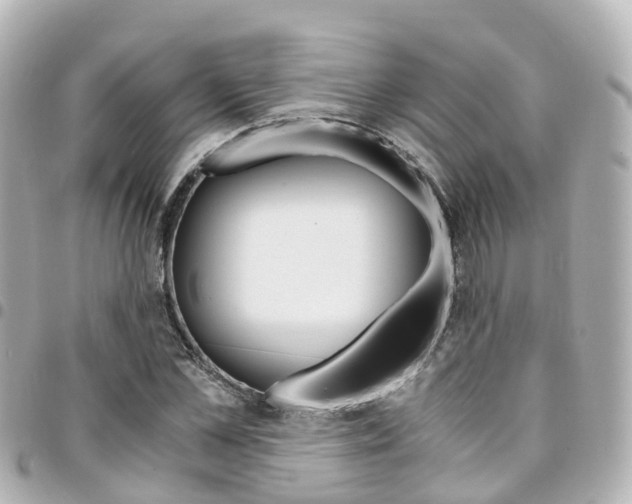 X0000094450973200711081044