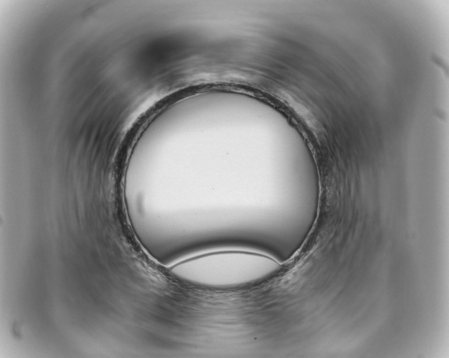 X0000094450975200711081043