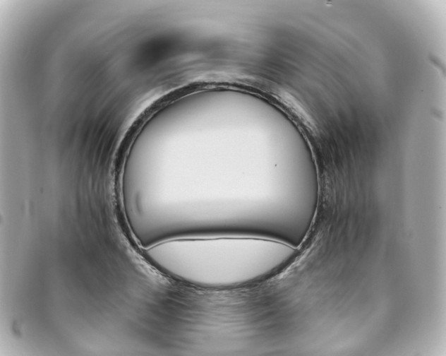 X0000094450976200711081043