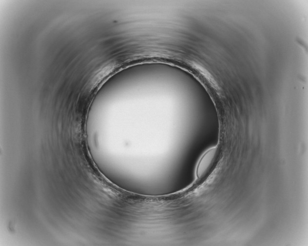 X0000094450977200711081043