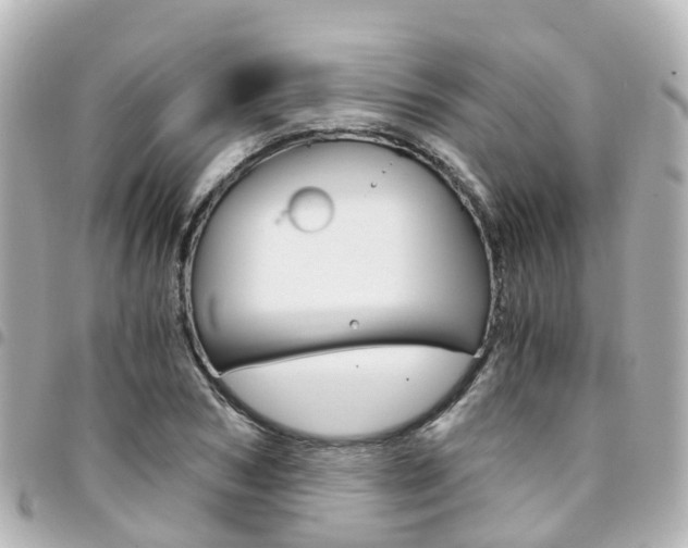 X0000094450978200711081043