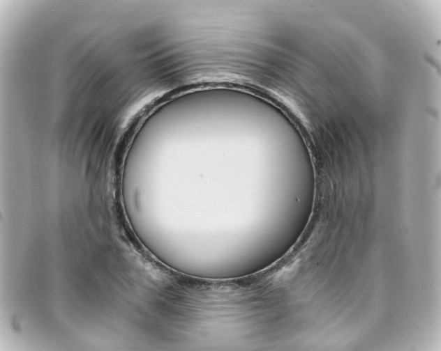 X0000094450979200711081043