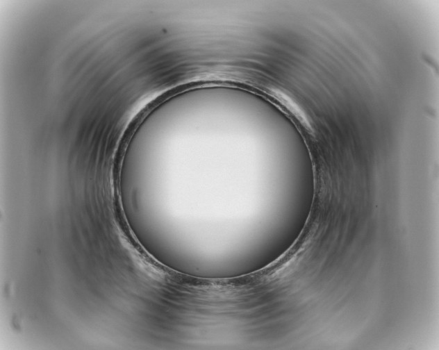X0000094450980200711081043