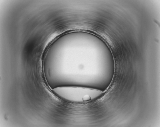 X0000094450982200711081043