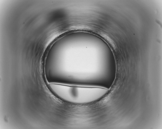 X0000094450983200711081043