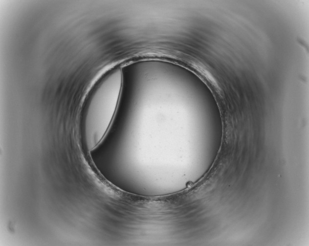 X0000094450984200711081043