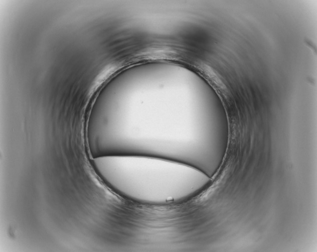 X0000094450986200711081043