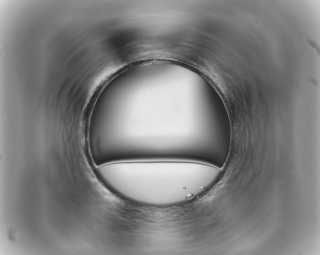 X0000094450987200711081043