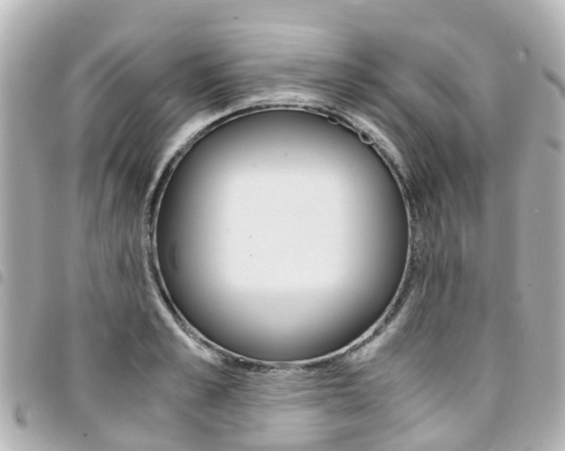 X0000094450989200711081043