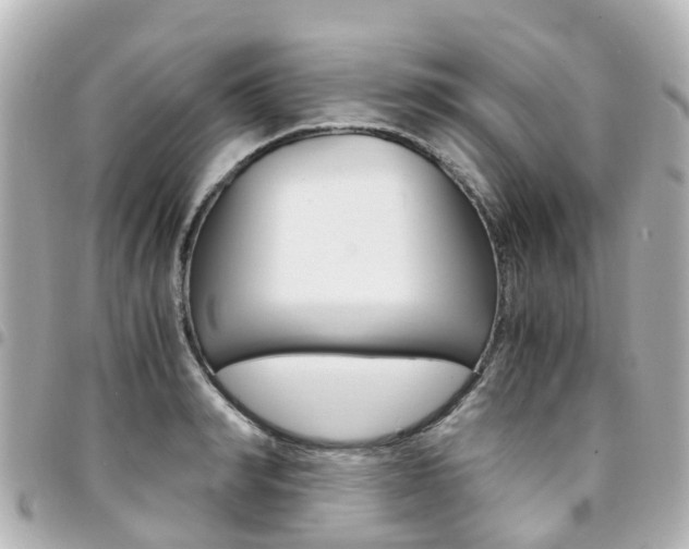 X0000094450990200711081043