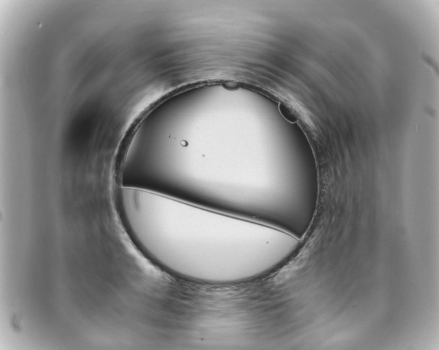 X0000094450991200711081043