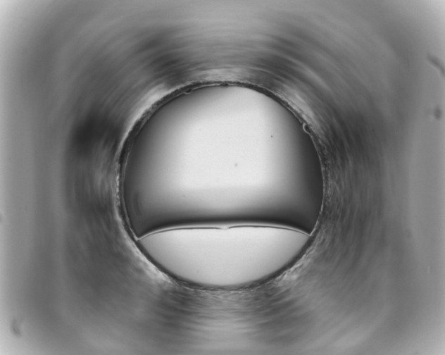 X0000094450992200711081043