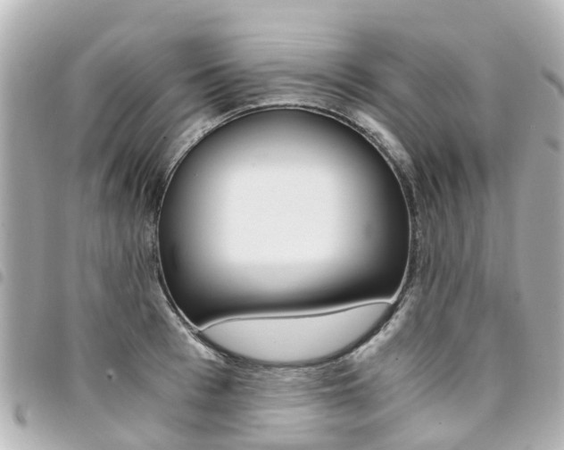 X0000094450993200711081043