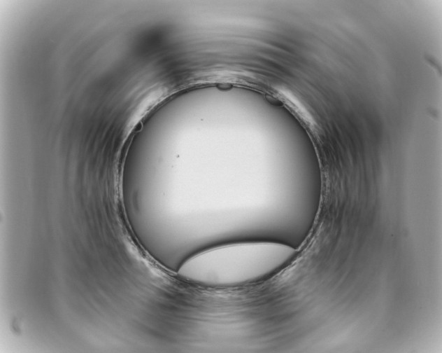 X0000094450994200711081043