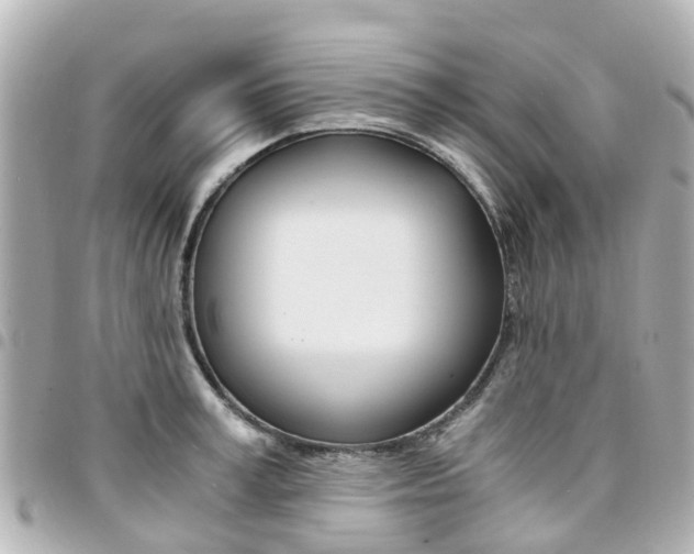 X0000094450995200711081043