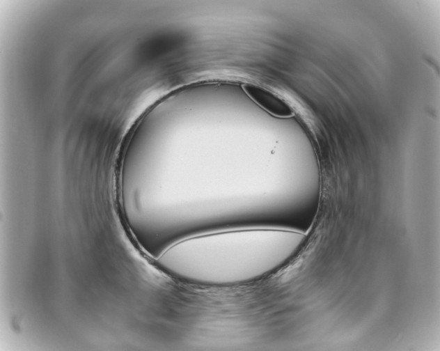 X0000094450999200711081043