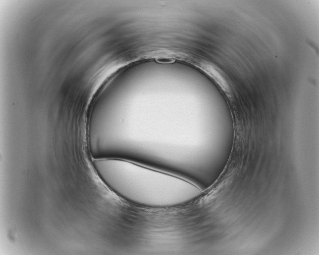X0000094451000200711081043