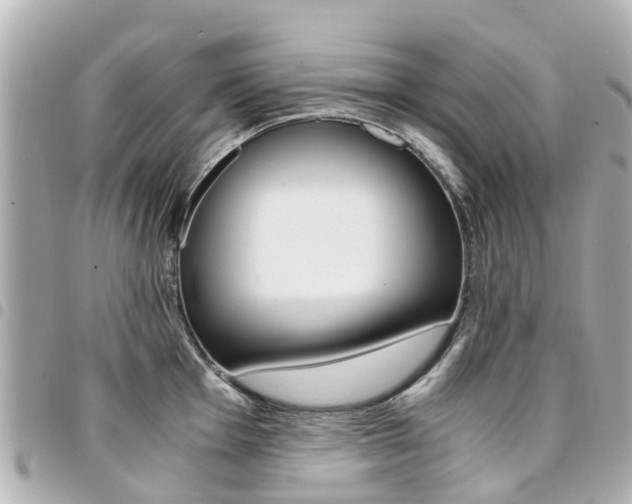 X0000094451001200711081043