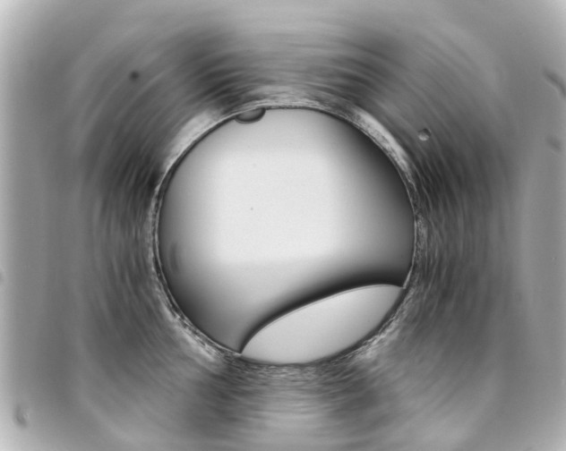 X0000094451002200711081043