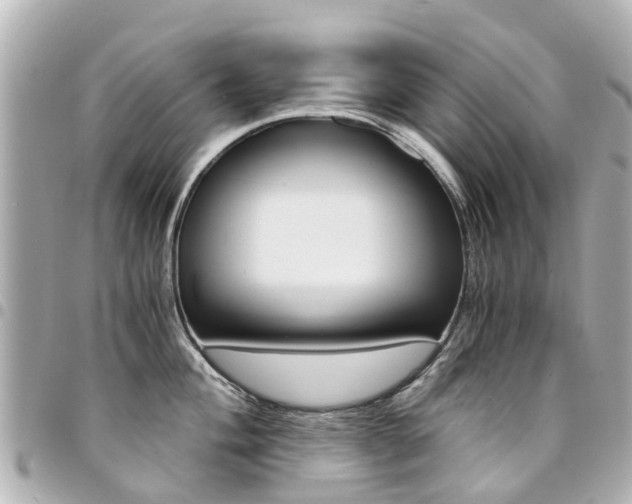X0000094451004200711081043