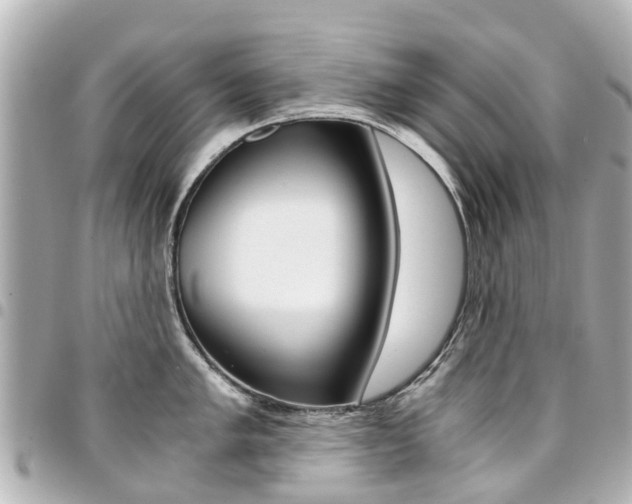 X0000094451005200711081043
